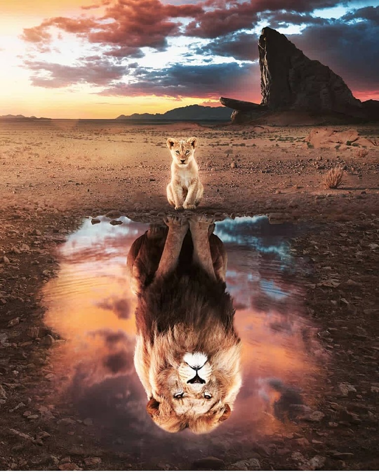 développer son leadership