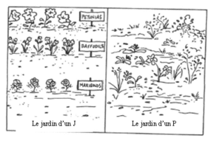 organisation-pour-gagner-en-efficacité