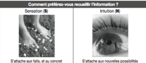 Sensitifs versus Intuitifs MBTI