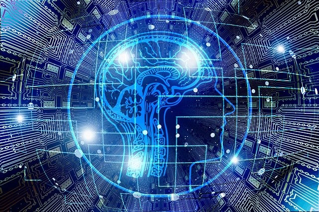 cerveau