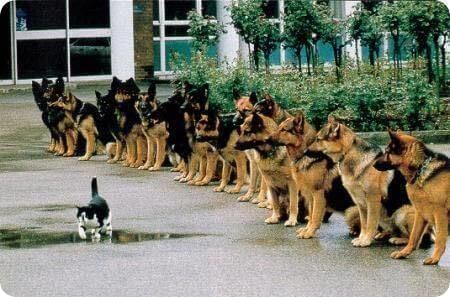 Symbole d'assurance et de confiance en soi