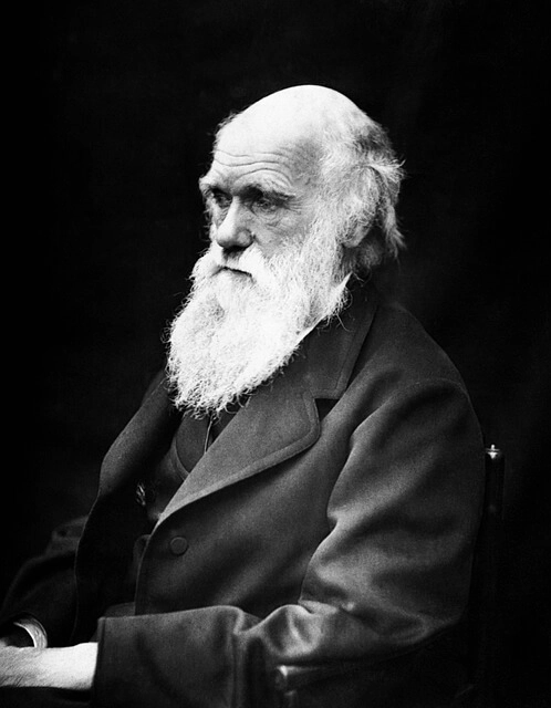 charles-darwin-evolution