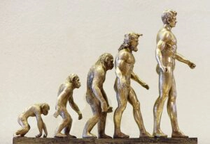 image de l'homme et de son évolution