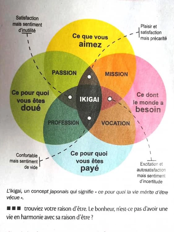 Définition en image du concept japonais d'Ikigaï, de l'accomplissement