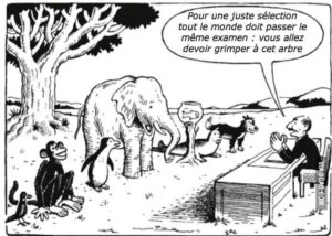 Miser sur ses qualités et ses forces pour trouver sa place en Société