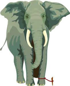 Exploiter notre potentiel