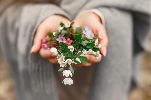 Fleur de Bach pour la confiance en soi : guide complet
