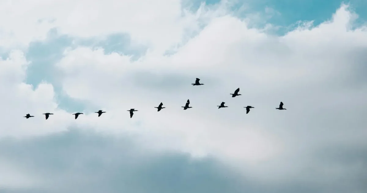 Développer sa confiance en comprenant son cerveau 🧠
