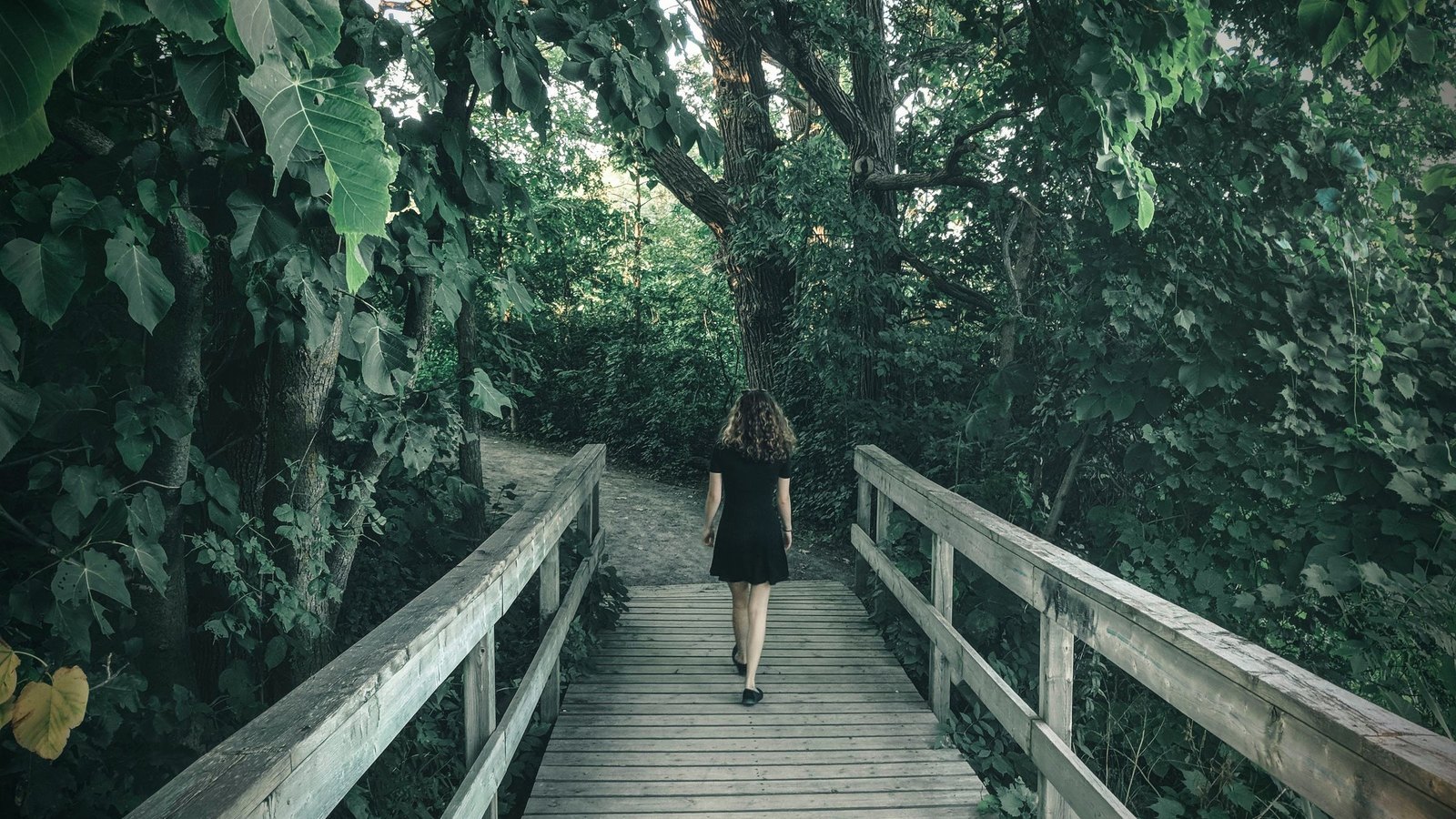 Personne marchant seule sur une passerelle en forêt, symbole de recul et de progression