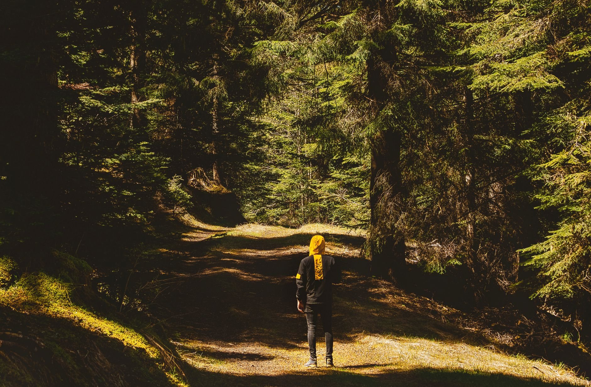 Randonneuse marchant seule sur un sentier calme au lever du soleil